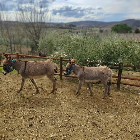 La Limonaia *